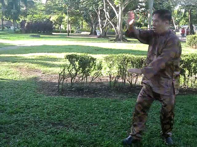 Sun Style Taijiquan